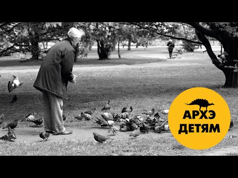 Видео: Непрошенные нахлебники  | Александр Хабургаев (выпуск 37)