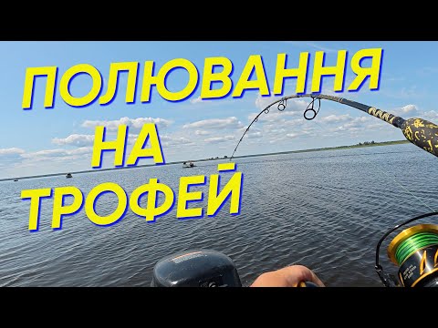 Видео: РОЗДАЧА СОМА✅РОЗІГНУТІ ГАЧКИ ТА ПІДНЯТИЙ НАСТРІЙ🐬🐬🐬