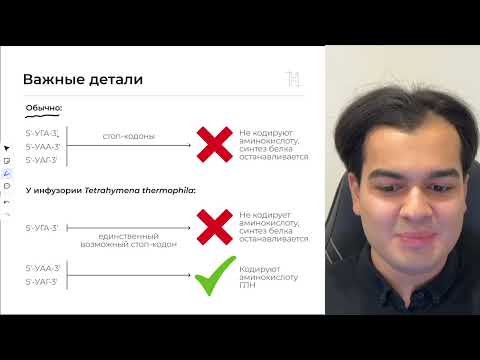 Видео: НОВЫЙ ТИП ЗАДАЧ №27 | БИОСИНТЕЗ БЕЛКА | НОО