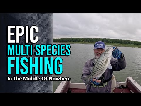 Видео: Эпическая рыбалка на несколько видов рыб вдали от цивилизации