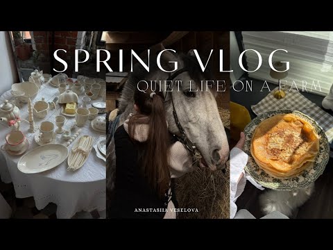 Видео: SPRING VLOG | верховая езда и ферма | идеальный рецепт блинов |товары для собаки | лепка посуды