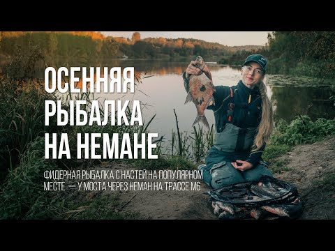 Видео: Крупные БРАТИШКИ на фидер | Осенняя рыбалка на водохранилище на два фидера