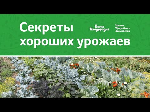 Видео: Секреты хороших урожаев