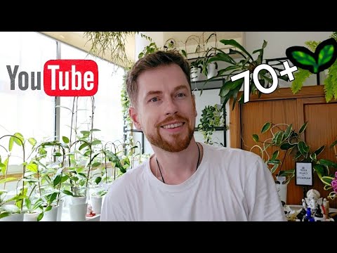 Видео: Мега обзор моей разросшейся коллекции хой. 70+ сортов.