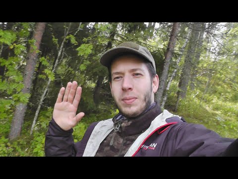 Видео: Инвестиции. Инвестор год. Вот что я понял