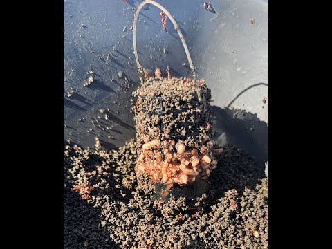 Видео: Как заставить рыбу клевать? Простой и эффективный способ для ловли леща и плотвы