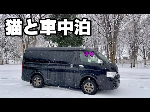 Видео: [Автомобильный кемпинг с кошкой] 350км по заснеженной дороге.