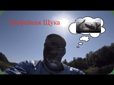 Видео: «Это была НЕ просто щука. Это был вызов от самой Волги»