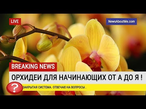 Видео: Закрытая система. Отвечаю на вопросы.