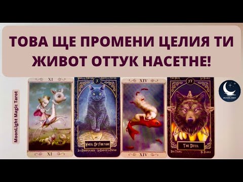 Видео: 💥🔥🌊ТОВА ЩЕ ПРОМЕНИ ЦЕЛИЯ ТИ ЖИВОТ ОТТУК НАСЕТНЕ! 🌊🔥💥 | Timeless