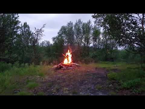 Видео: Трёхречье   Печенгский район  форелевая рыбалка