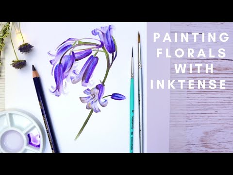 Видео: РУКОВОДСТВО ПО РИСОВАНИЮ КАРАНДАШОМ INKTENSE