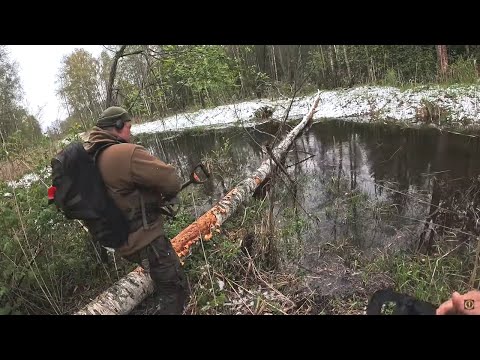 Видео: УДАЧА! ЗА БОЛОТОМ НАШЛИ ПОСЕЛЕНИЕ И СРАЗУ НАХОДКИ!
