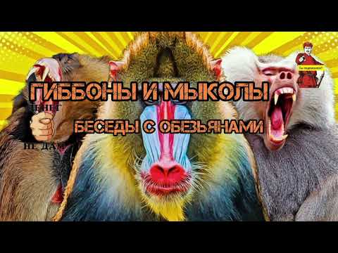 Видео: НИЧЕГО НЕ ПРИНЕСЁТ МЫКОЛА ДОМОЙ, ПОВЕЗЛО ЧТО ВЕРНУЛСЯ ЖИВОЙ. НЕ КАЖДОМУ ТАК ВЕЗЁТ... 
