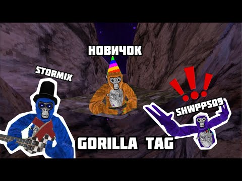 Видео: УЧУ НОВИЧКА ИГРАТЬ В GORILLA TAG!!! 🙊