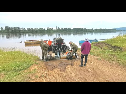 Видео: В Тайгу за черникой. Сбор ягоды в Сибири.