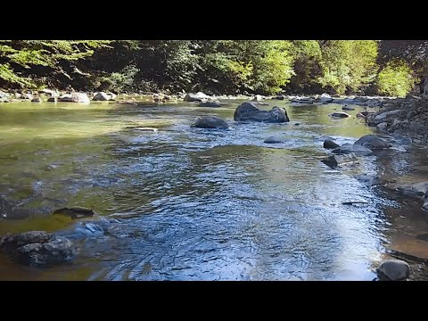 Видео: Белый Шум. Журчание ручья - Нежный шум воды 1 час