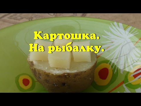 Видео: Как приготовить уловистую насадку для ловли карпа, белого амура?