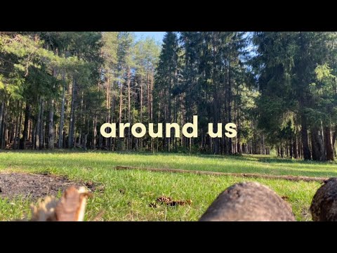 Видео: Лес | around us