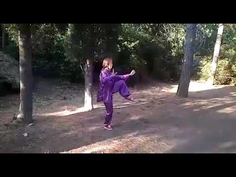 Видео: ТайЧи 8 форм.   Стиль Ян. Наталья Масютина. ТайЧи Цигун. Обнинск.