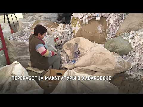 Видео: Объём переработки макулатуры увеличили в Хабаровске