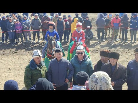 Видео: Нооруз 2025-ж Суусамыр. Аламан байге