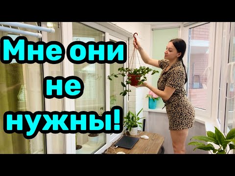 Видео: Мою окна / Чистота и порядок в доме !
