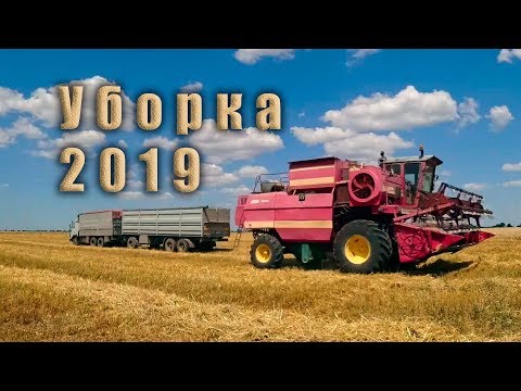 Видео: Уборка озимого ячменя 2019! Дон 1500А.