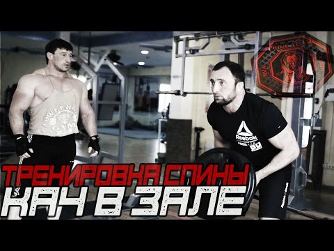 Видео: Тренировка Спины. Кач В Зале [Pride Team]