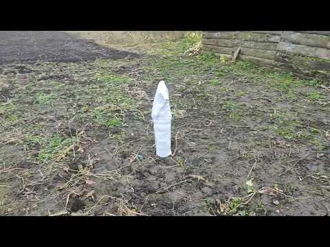 Видео: Убрали огород подготовили к зиме. Не прощаемся до весны. 