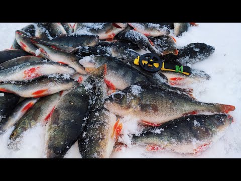 Видео: Безмотылка в Глухозимье. Лесотка, Гвоздекубик. Ловля окуня. Зимняя рыбалка.