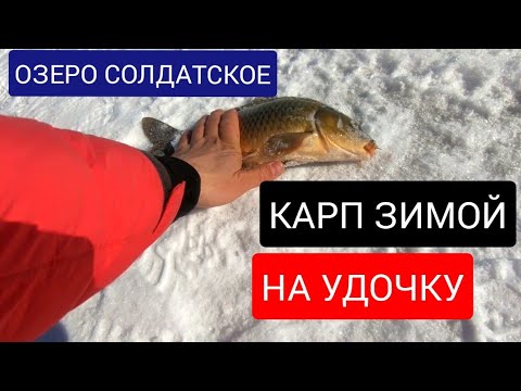 Видео: КАРП ЗИМОЙ НА УДОЧКУ ОЗЕРО СОЛДАТСКОЕ! ПОДВОДНЫЕ СЪЕМКИ!