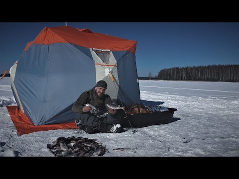 Видео: Отвёл Душу На Зимней Рыбалке! Ловля Плотвы на Поплавок!