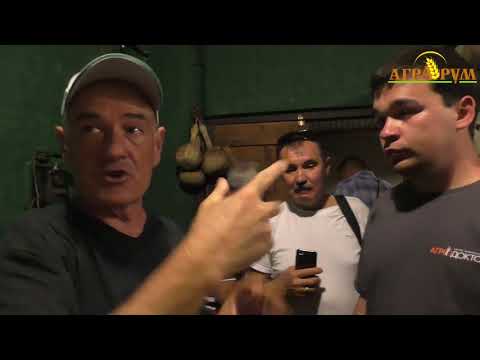 Видео: Виноградарство в Аргентине.Технология производства вина