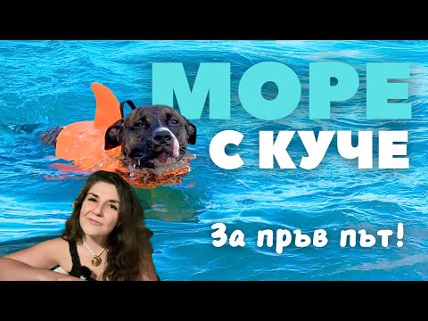 Видео: На море с куче за пръв път! (Много смях)