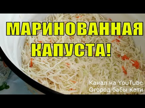 Видео: Рецепт маринованной капусты быстрого приготовления. Капуста получится беленькой и хрустящей.