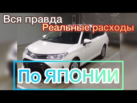 Видео: Реальные РАСХОДЫ ПО Японии.ВСЯ ПРАВДА ПРО АВТОЗАКАЗ АВТОМОБИЛЯ С ЯПОНИИ АУКЦИОН ЗНАКОМСТВА КРАСДВ124