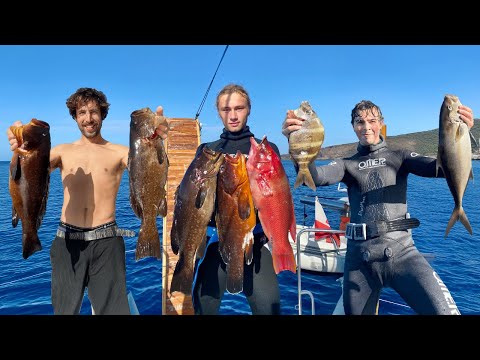 Видео: Остров груперов! Дикие Канары на катамаране ⛵
