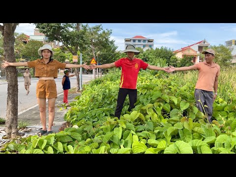 Видео: Странная тайна: соседей бесчисленное множество, но тротуары «утопают» в сорняках