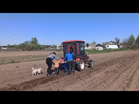 Видео: Как мы всей семьёй картошку сажали картофелесажалкой