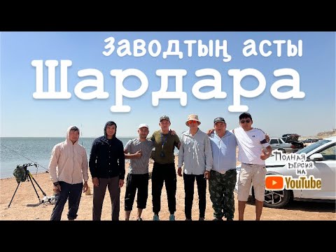 Видео: Шардара хит жер Заводтың асты сазан көп