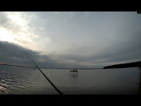 Видео: Ловля окуня на отводной поводок в ноябре!