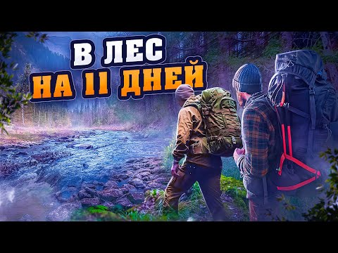 Видео: В ЛЕС НА 11 ДНЕЙ, ИЗБУШКИ В ЛЕСУ, УХОДИМ В ГЛУШЬ