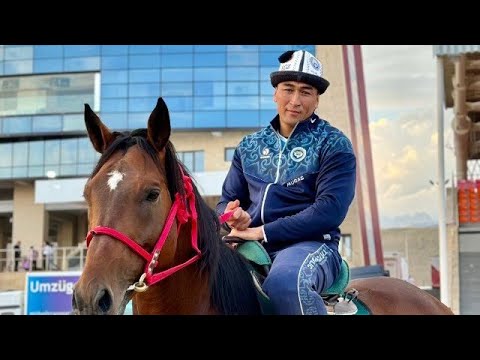 Видео: Ниязовдор торпок улак...