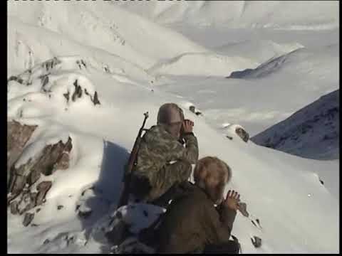 Видео: 2004 год Охота на горного барана (Чубуку) часть 1/ 2004 year Hunting argali (Mountain sheep) part 1