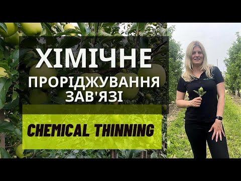 Видео: Хімічне проріджування зав'язі