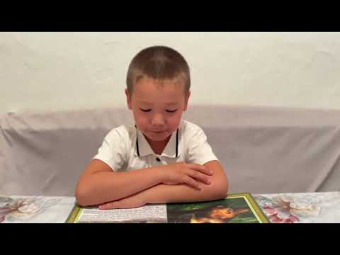 Видео: АРЫСТАН МЕН АДАМ ЕРТЕГІСІ