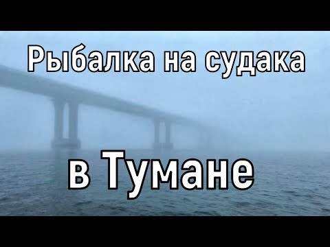 Видео: Рыбалка на судака в тумане. Река Кама, Сорочьи Горы.