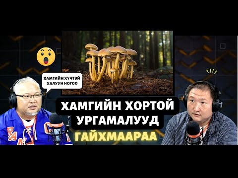 Видео: Гайхмаараа хө | 2024-09-20 | Амсах нь байтугай ойртмооргүй халуун ногоонууд