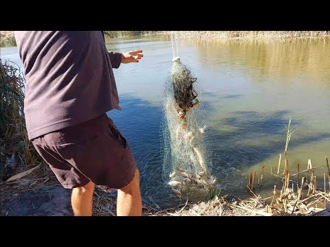 Видео: Эксперимент с кастинговой сетью!!!ведро за 2 заброса